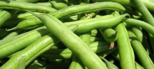 Green Beans