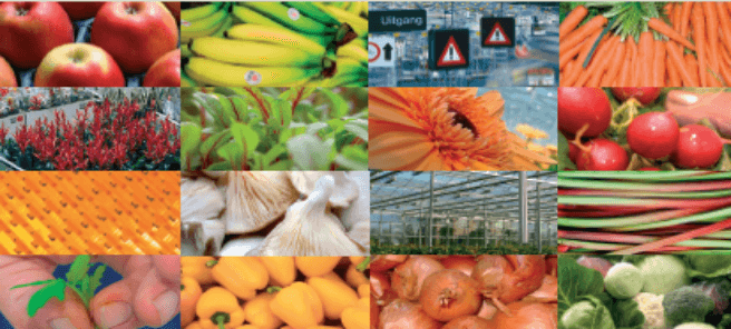 various produce