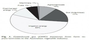 GHG emissions in veg industry